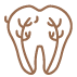 icons_Root Canal